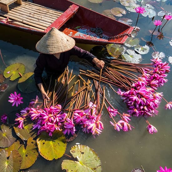 Splendeurs du Nord Vietnamien: Plongez dans une culture vibrante et imprégnée d'histoire