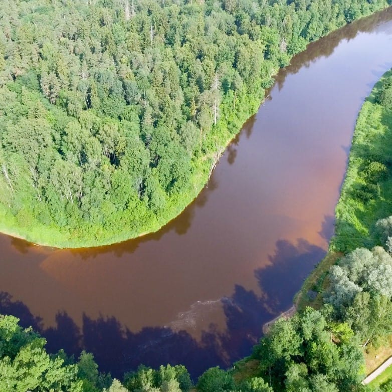 Découvrez le Nordeste du Brésil et l'Amazonie lors d'un voyage de 14 jours hors des sentiers battus, entre nature sauvage et culture vibrante