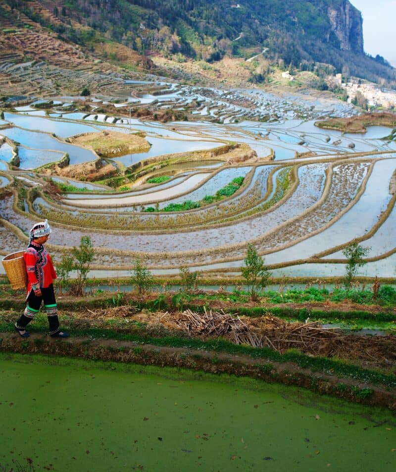 Yunnan, dont le nord s’élève vers le plateau tibétain et le sud plonge dans les jungles de l’Asie du Sud-Est