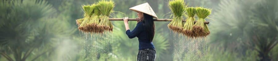 Ho Chi Minh, autrefois connue sous le nom de Saigon