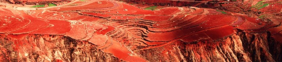 les rizières en terrasse de Yuanyang défrichées