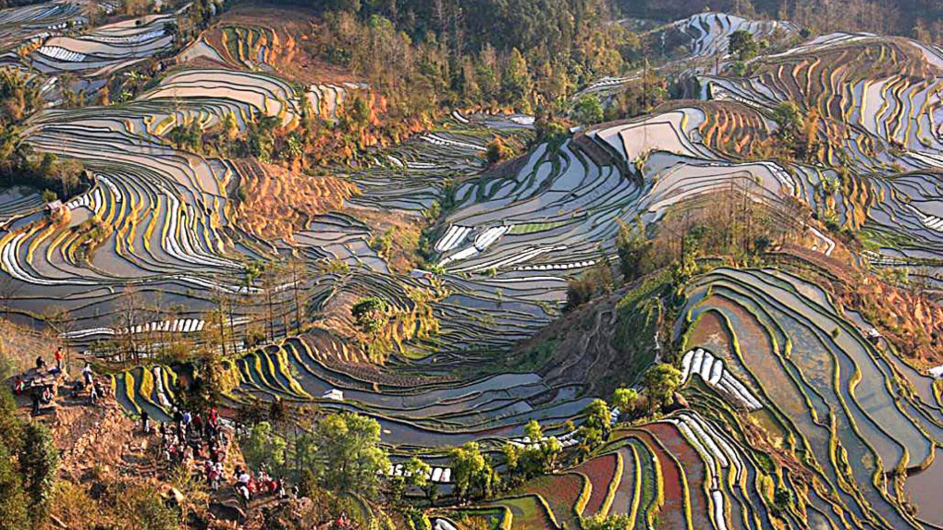 les rizières en terrasses un lieu où l'empreinte du Tibet et de la Birmanie