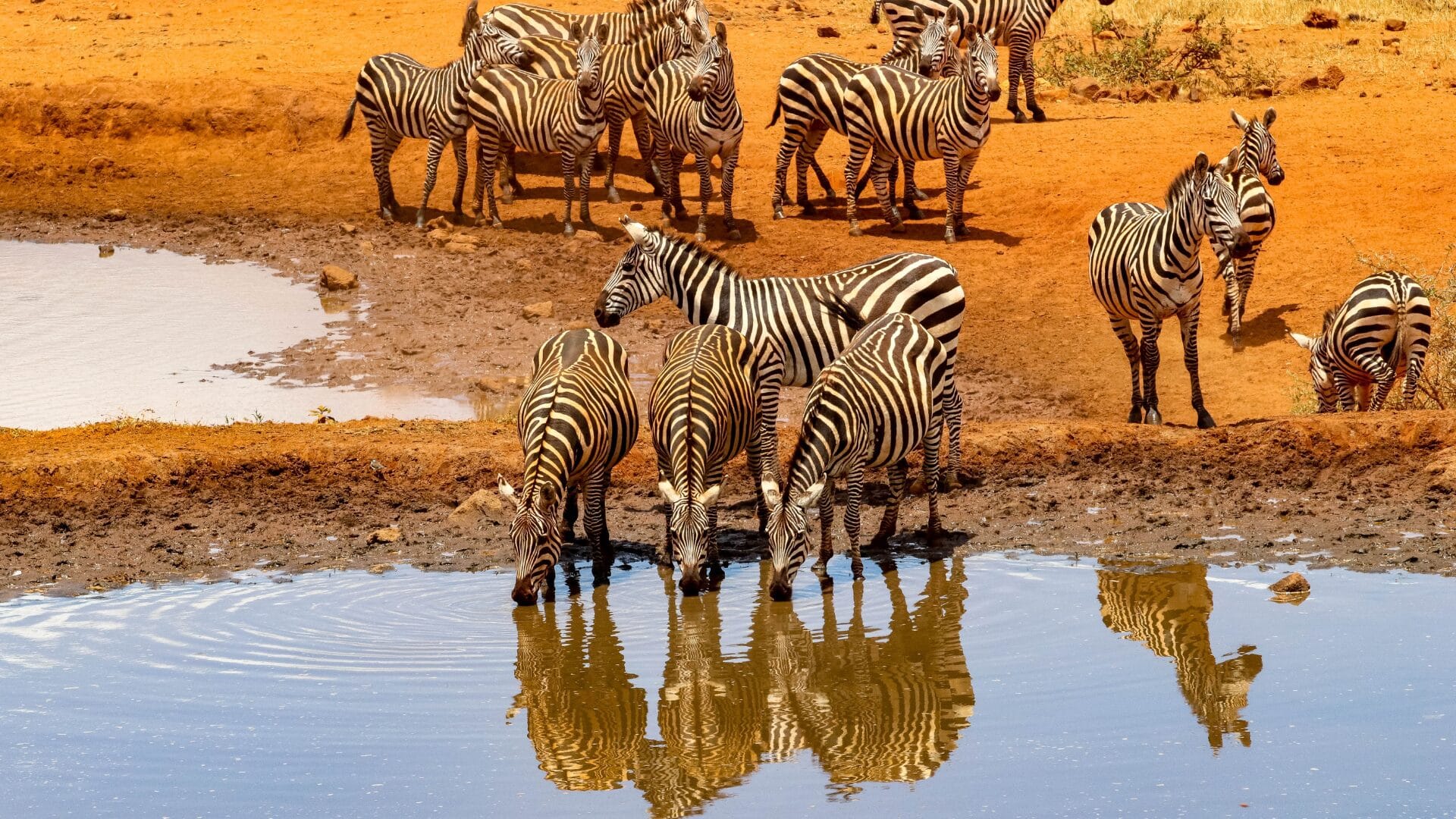 Botswana et les majestueuses Chutes Victoria au Zimbabwe